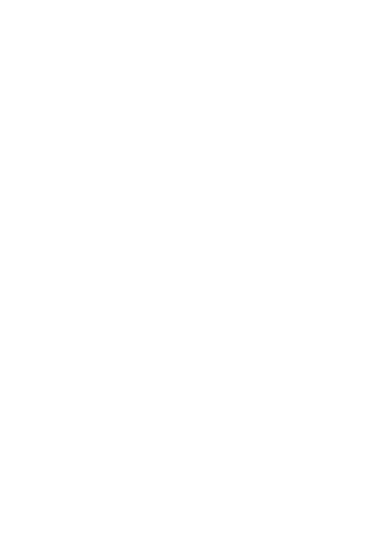 logo_torresan