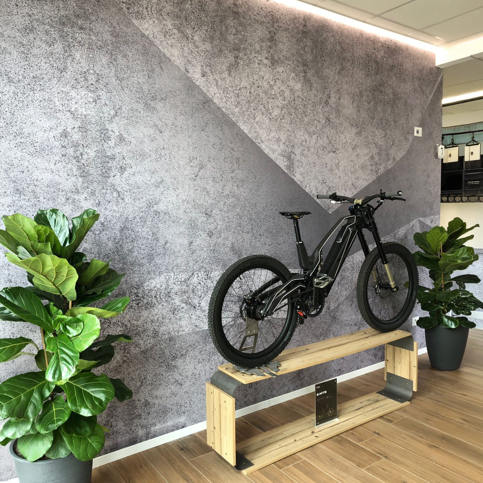 cybro_pareteforex_web2