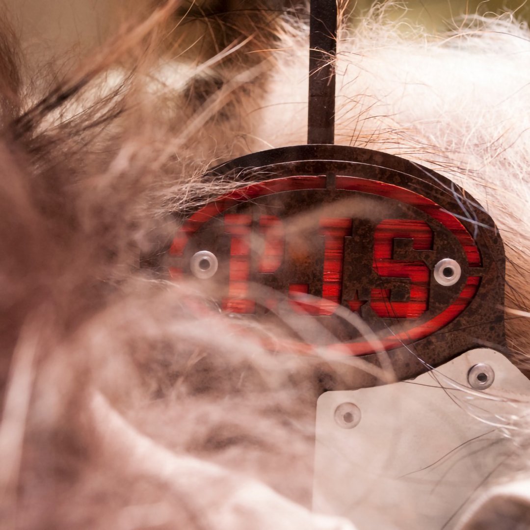 pjs_appendini_dettagli_3